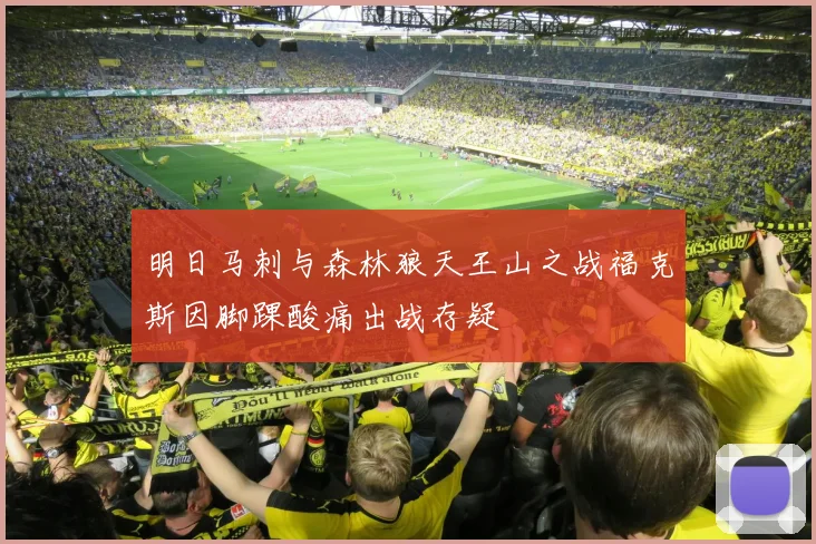明日马刺与森林狼天王山之战福克斯因脚踝酸痛出战存疑