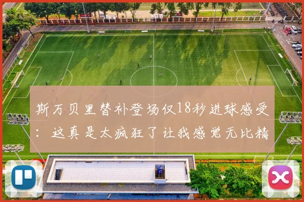 斯万贝里替补登场仅18秒进球感受：这真是太疯狂了让我感觉无比精彩